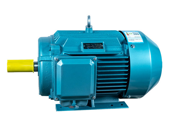 YE2系列高效節(jié)能電機(jī) YE2系列高效節(jié)能電機(jī)
